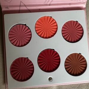 Vibrant Blush Palette from Ofra
